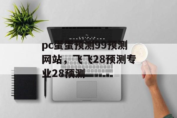 pc蛋蛋预测99预测网站，飞飞28预测专业28预测